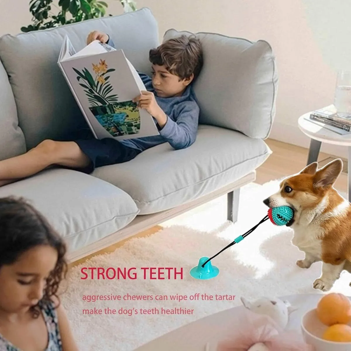 Suction Cup Dog Chew Toy – Treat Ball & Rope for Aggressive Chewers, Puppy Teething & Play - Image 2