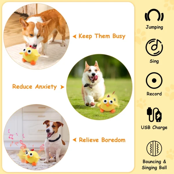 Rechargeable Squeaky Chicken Dog Toy – Music, Voice Recording & Motion-Activated Fun - Image 4