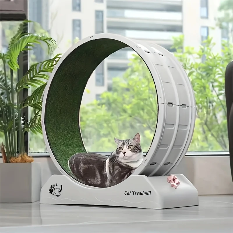 Whisker Wheels Fitness Pro – Cat Exercise Wheel with Lock & Carpet Grip