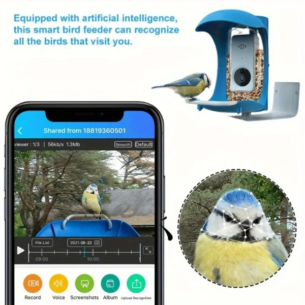 BirdDock Smart Bird Feeder with 1080P Camera & AI Bird Recognition – WiFi App-Controlled - Image 3